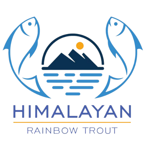 Himalayan Rainbow Trout